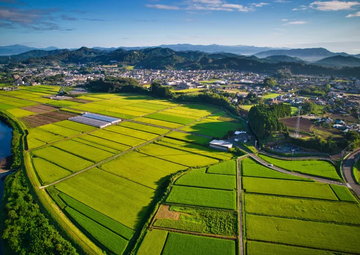 11.住み続けられるまちづくりを